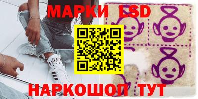 прущие грибы Будённовск