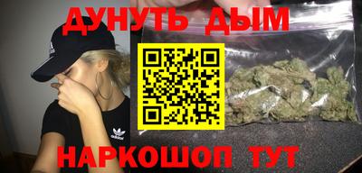 прущие грибы Будённовск