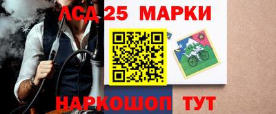 прущие грибы Будённовск