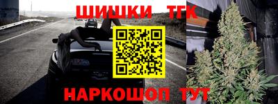 прущие грибы Будённовск