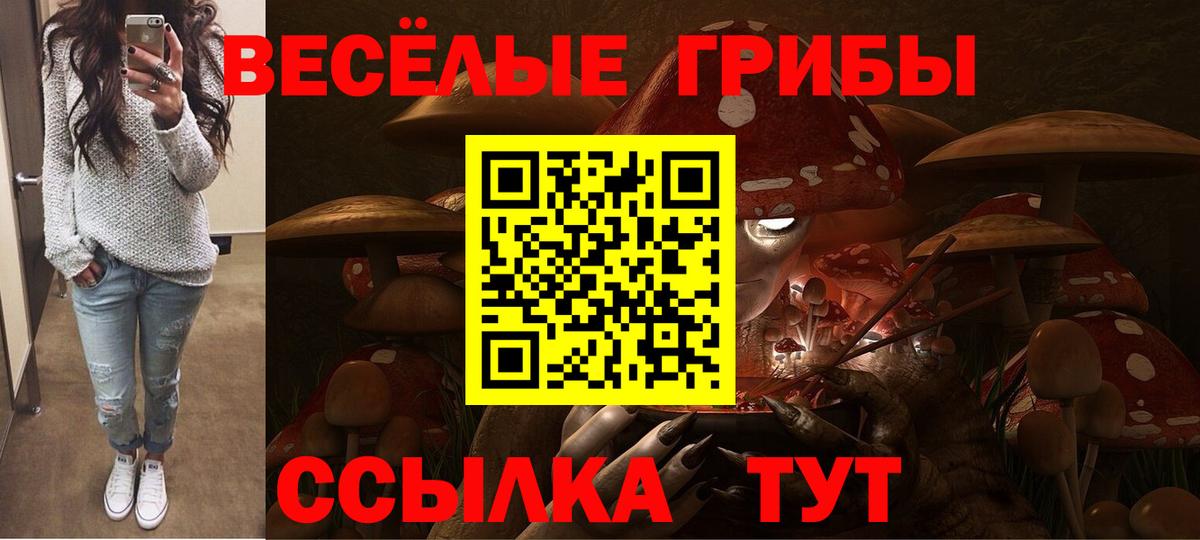 Галлюциногенные грибы Psilocybe Тында
